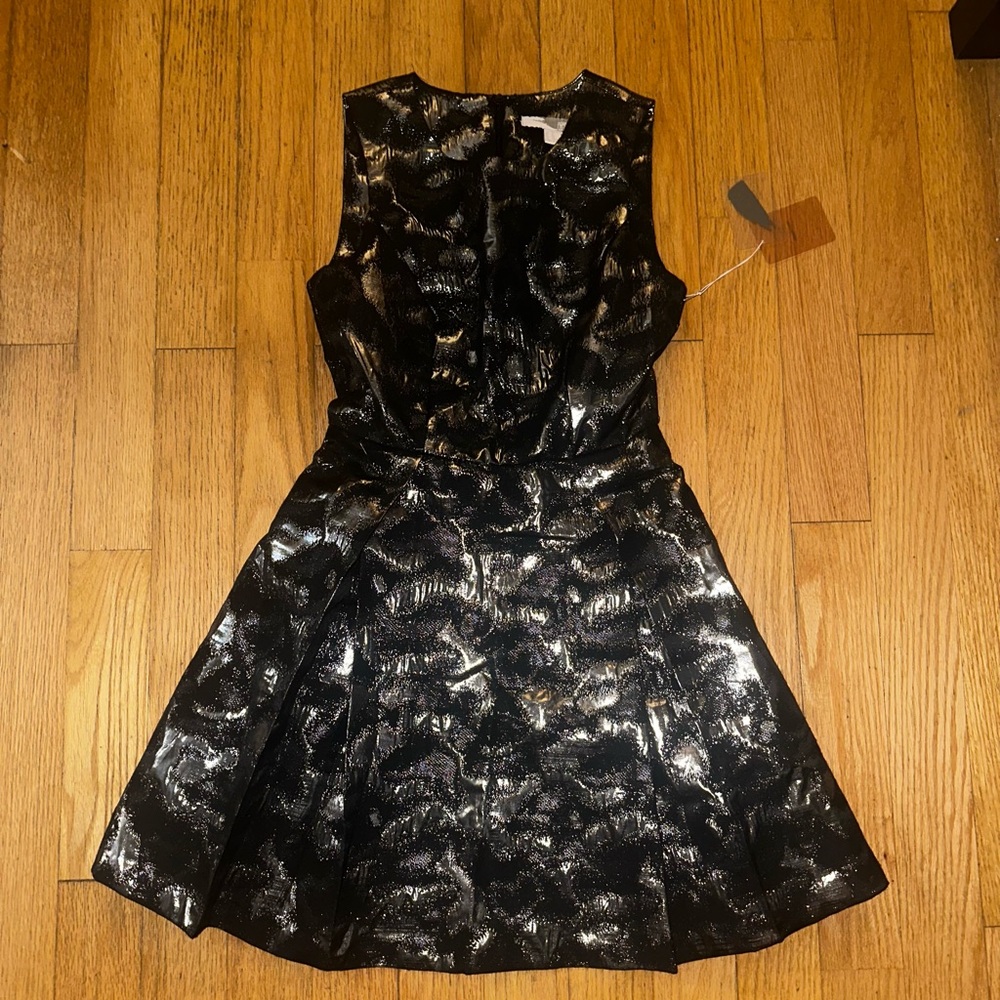 Forever 21 Black and Silver Sleeveless Dress